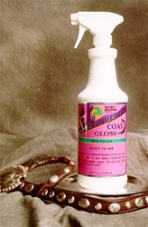 Healthy Hair Coat Gloss - OUT OF STOCK